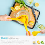 Fluicer - Parent